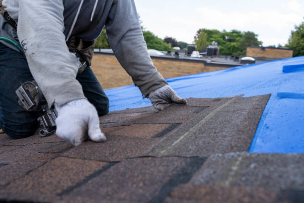 Best Emergency Roof Repair  in Millbrae, CA
